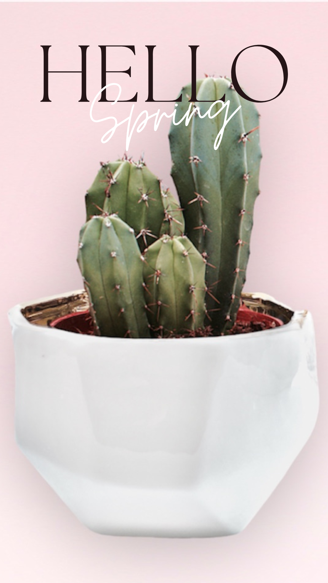 Sunsum, Hello Spring 2023