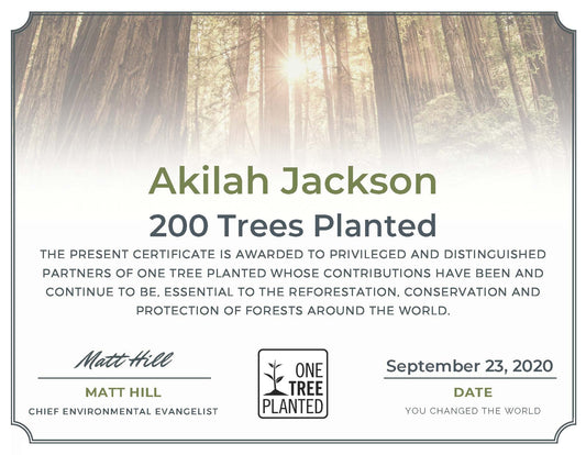 Sunsum® Intentional Living  Plants Trees