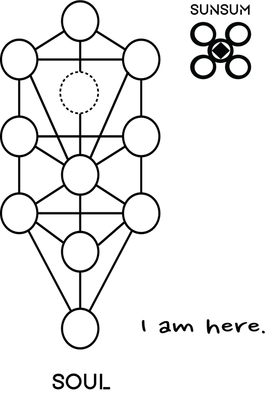 Follow the Brand Sunsum® Intentional Living