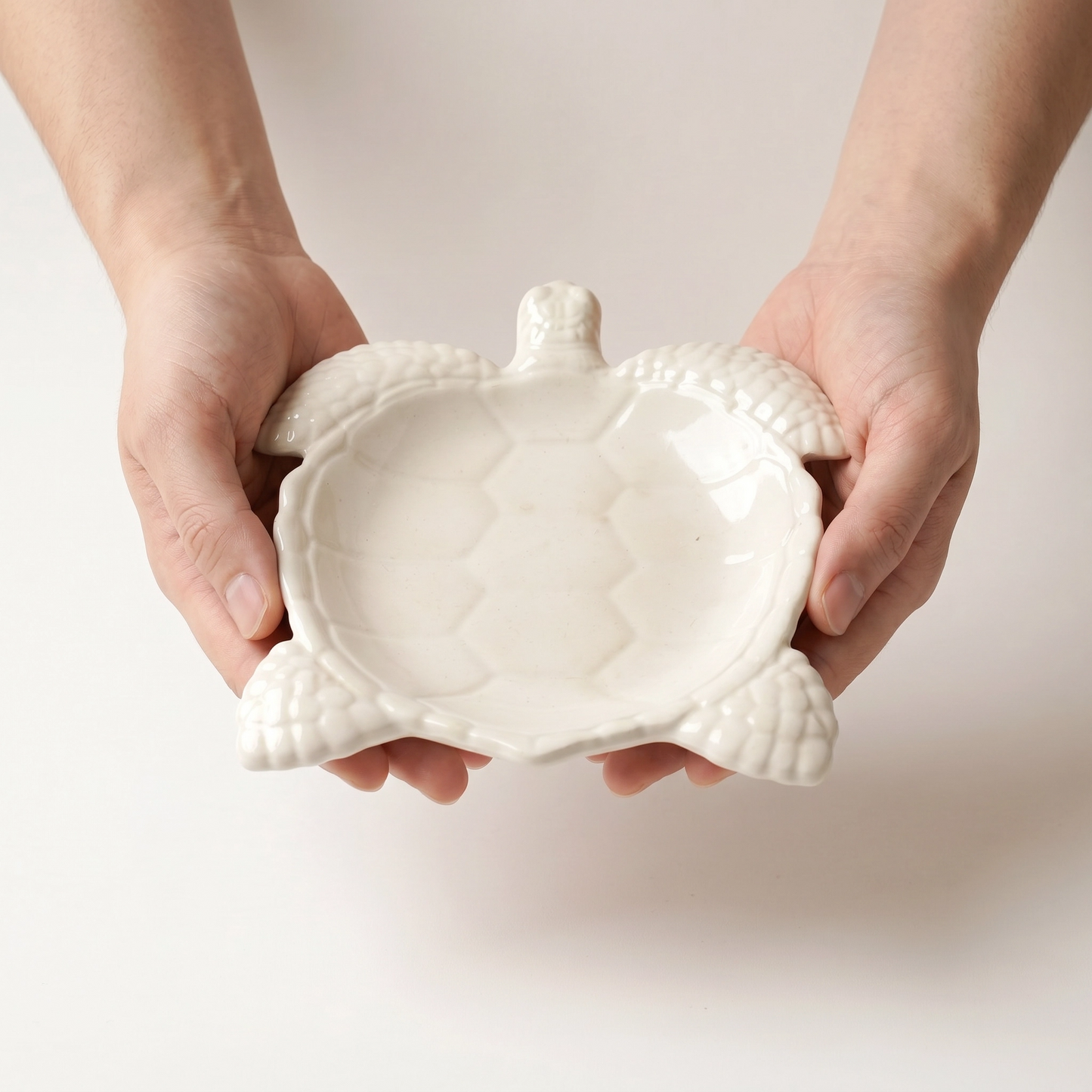 Sea Turtle Tray, Gypsum White, 9"