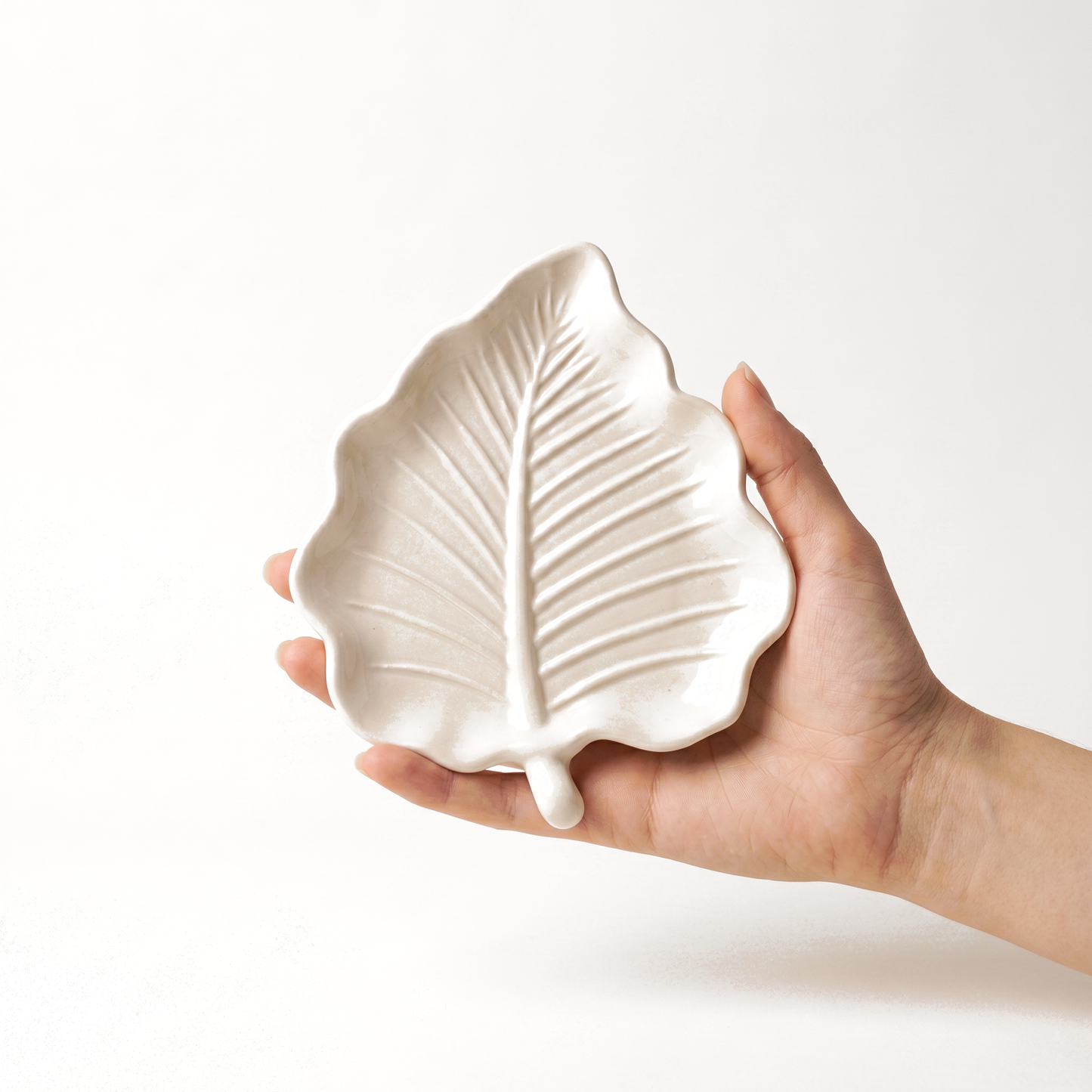 Elm Leaf Tray, Gypsum White 6"