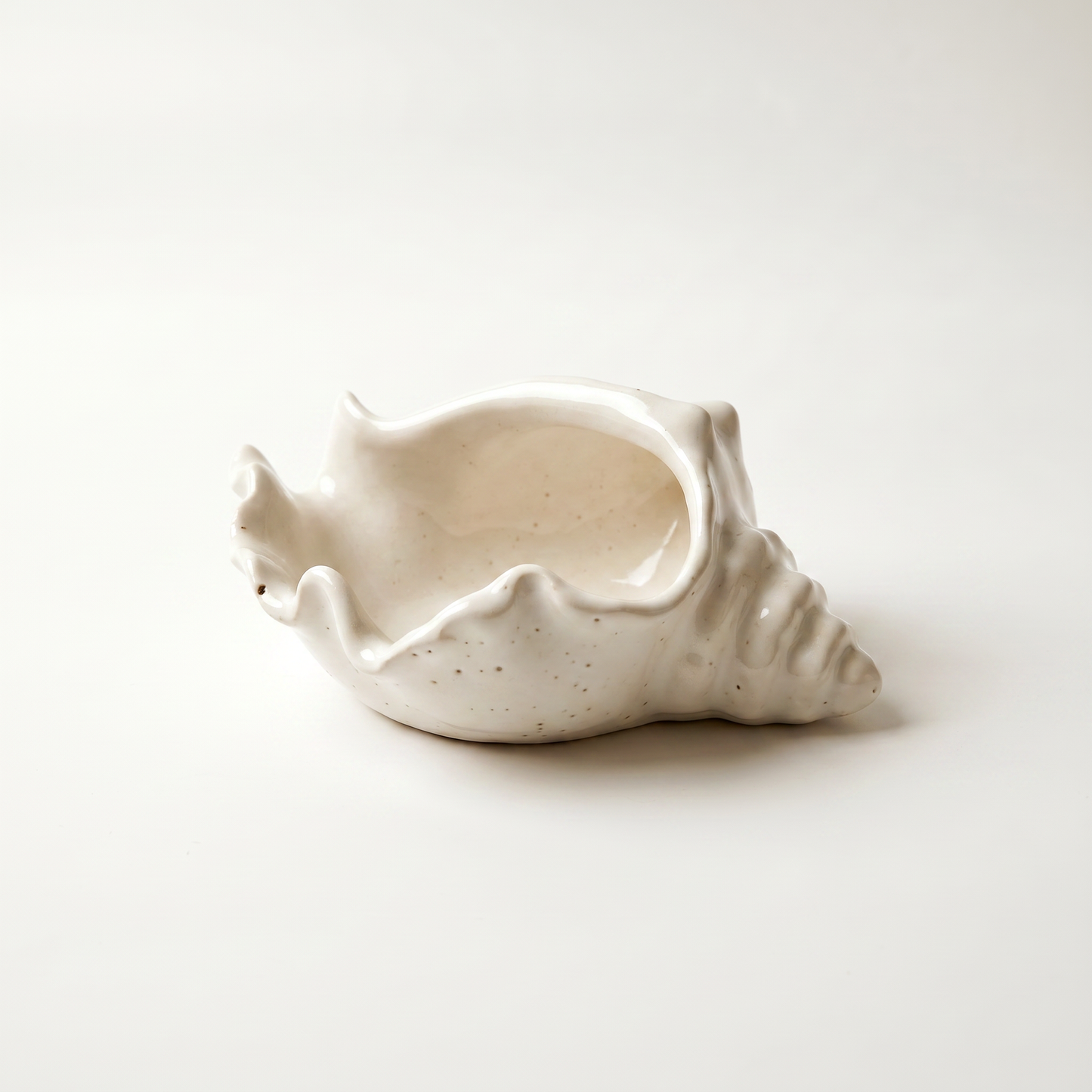 Conch Shell Bowl,  Gypsum White, 6"