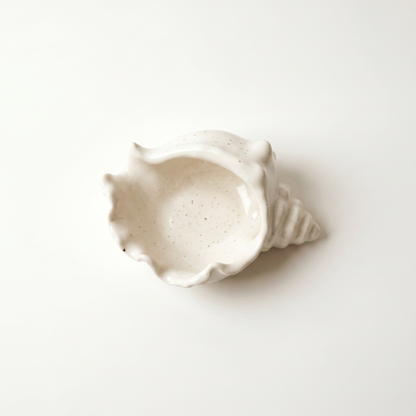 Conch Shell Bowl,  Gypsum White, 6"