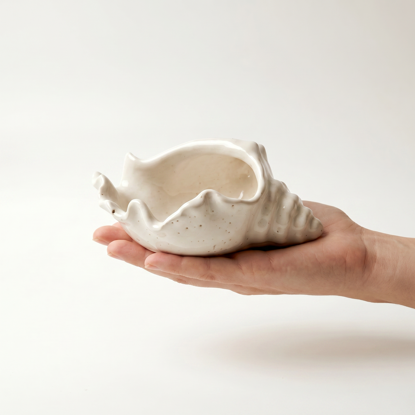 Conch Shell Bowl,  Gypsum White, 6"