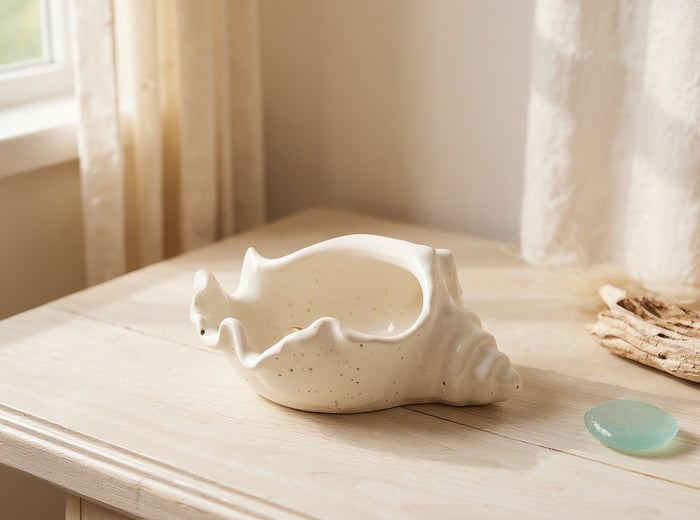 Conch Shell Bowl, Gypsum White 6"