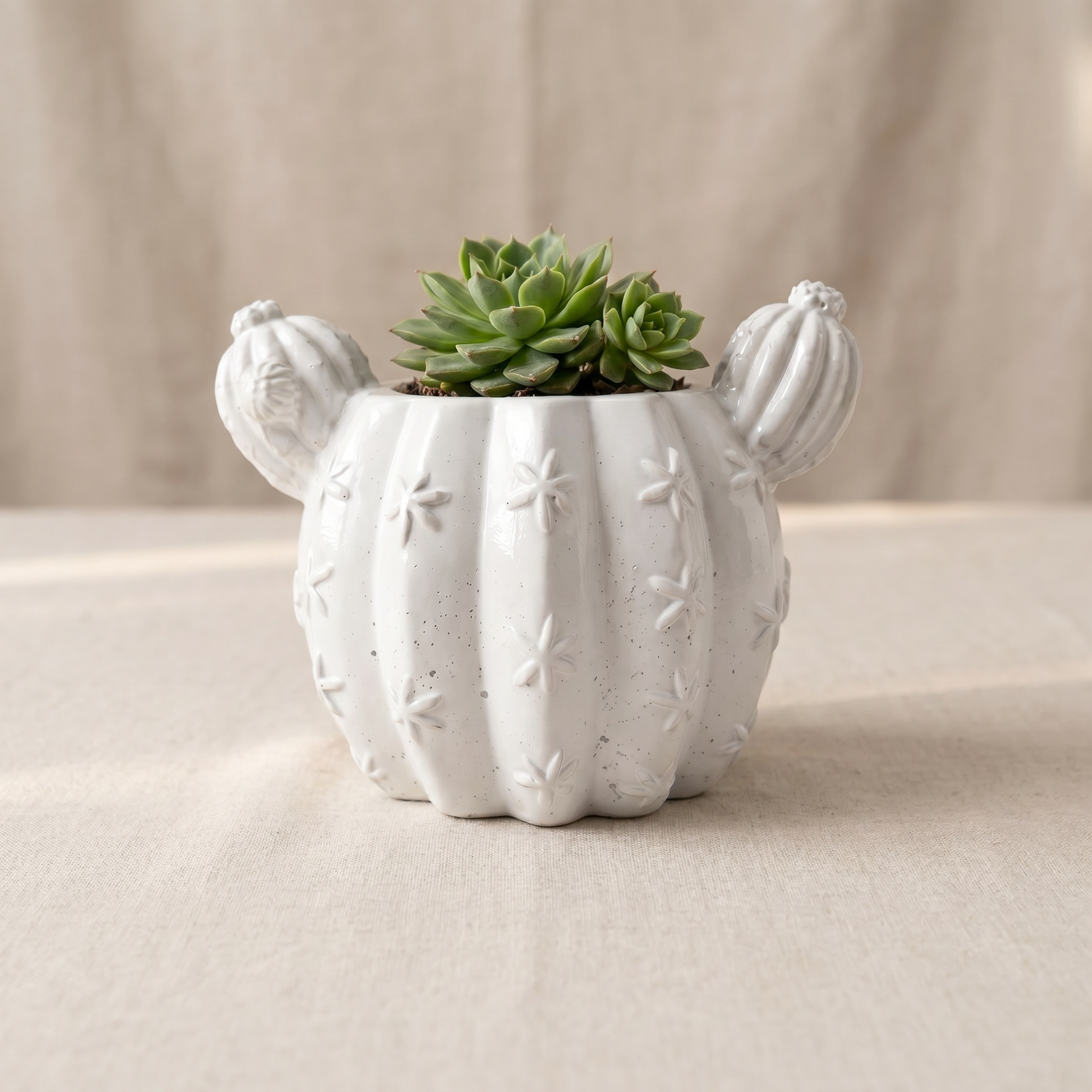Barrel Cactus Planter gypsum white — back detail of handmade sculptural planter | Sunsum