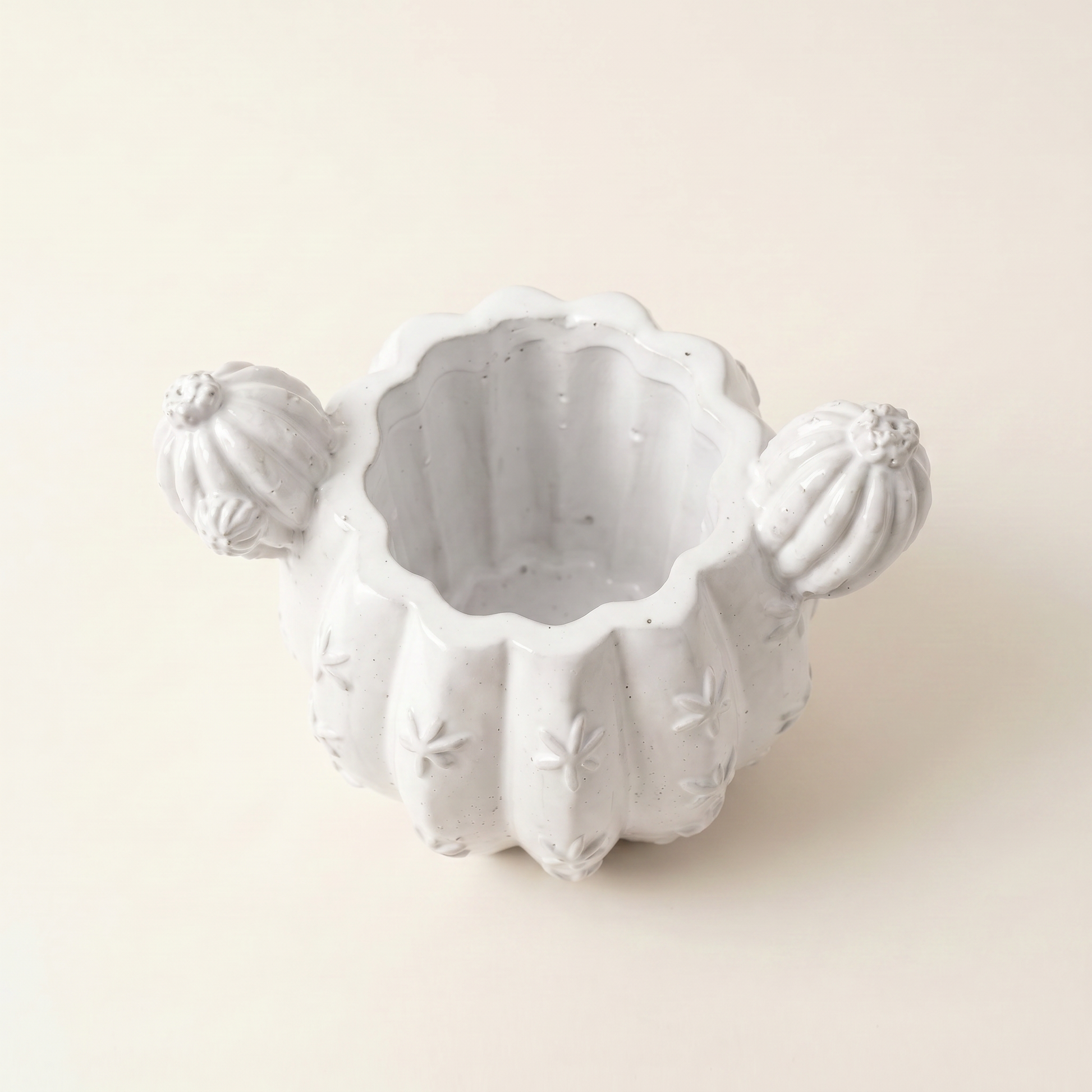 Barrel Cactus Planter gypsum white held in hand showing 3.5 inch scale | Sunsum