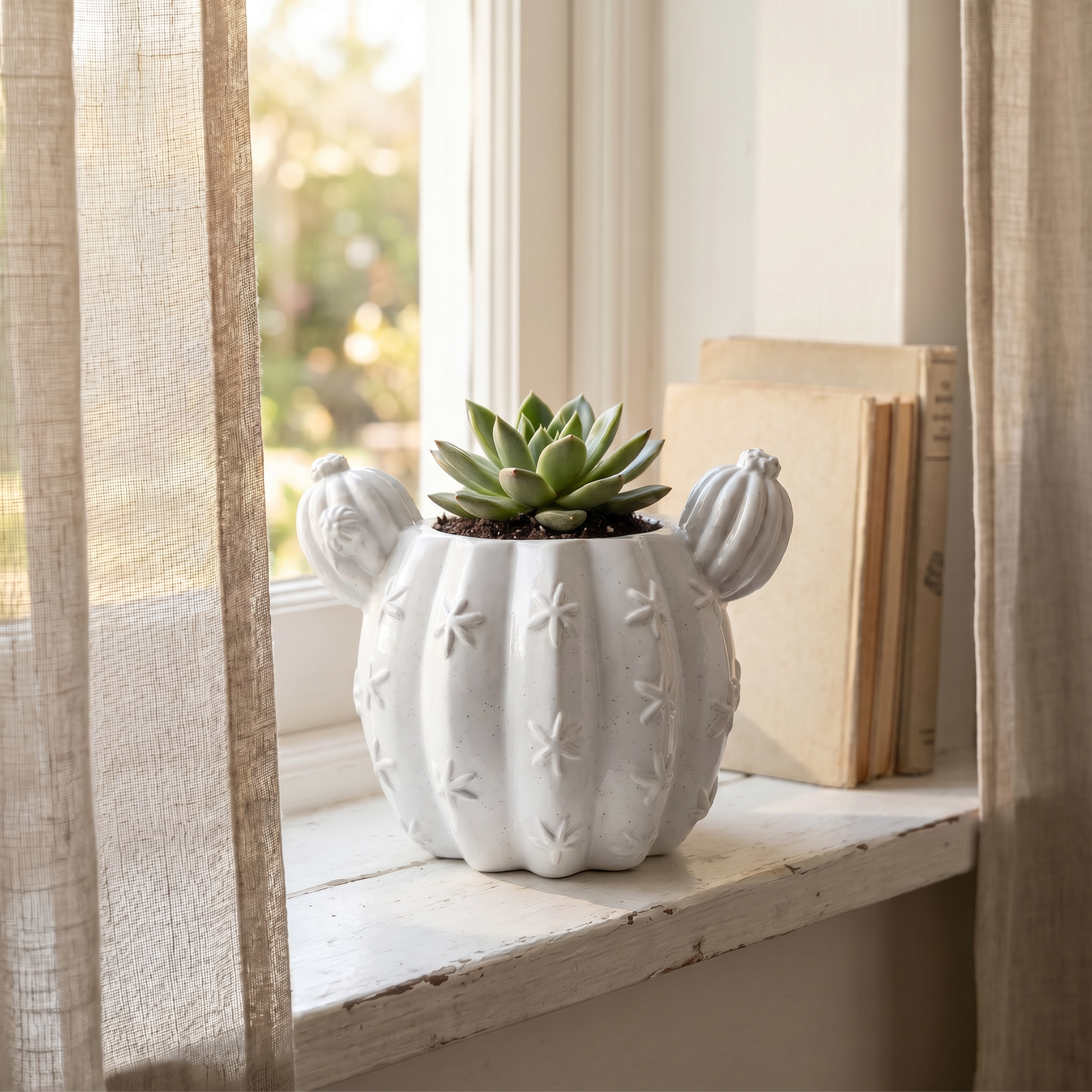 Barrel Cactus Planter handmade gypsum white 3.5 inch succulent pot — front view | Sunsum