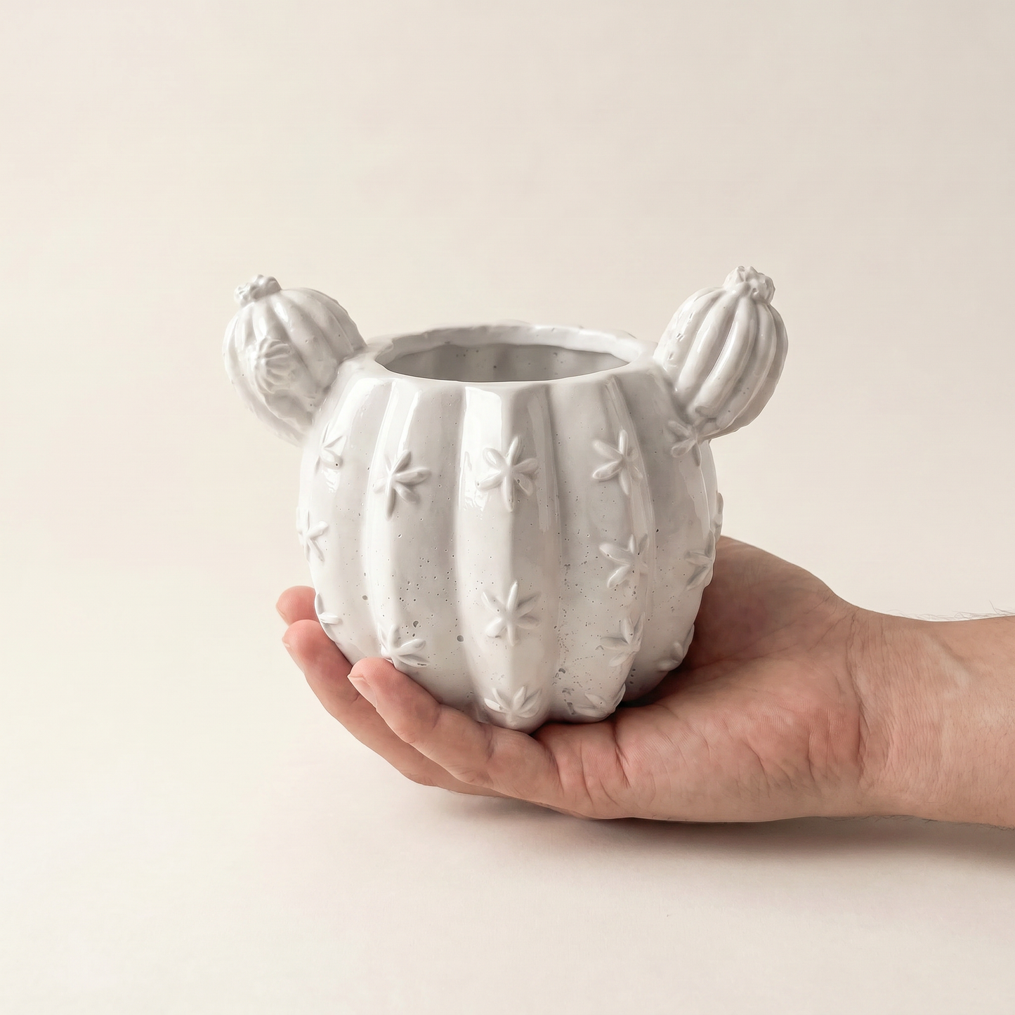 Barrel Cactus Planter gypsum white styled with air plant in lifestyle setting | Sunsum