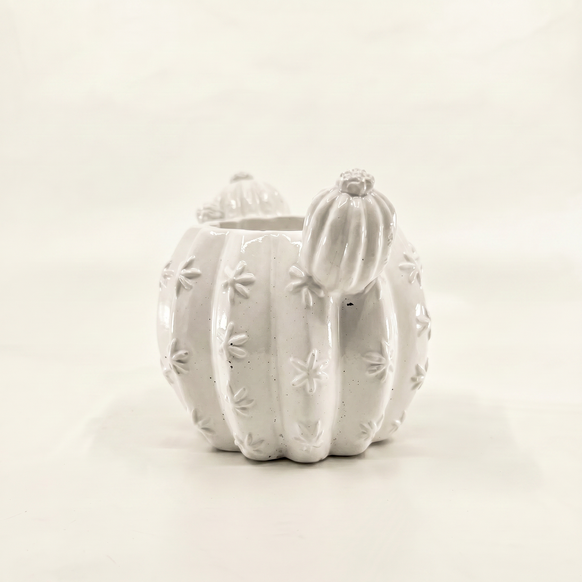 Barrel Cactus Planter gypsum white with cactus planted inside — overhead view | Sunsum