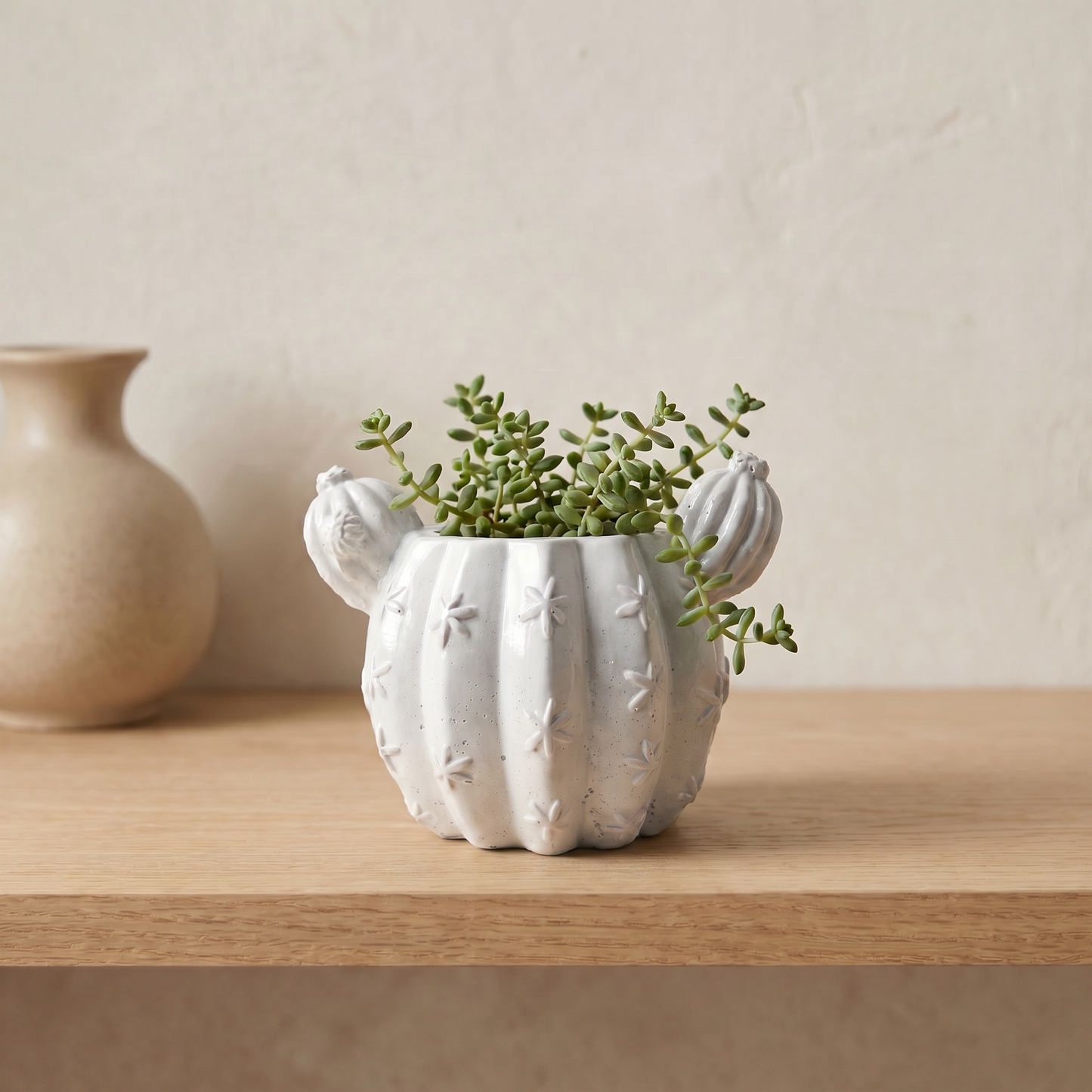 Barrel Cactus Planter gypsum white — side angle showing ribbed cactus texture | Sunsum