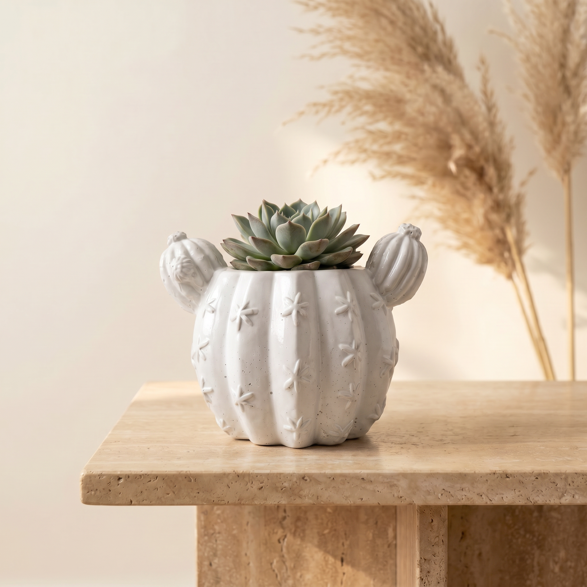 Barrel Cactus Planter gypsum white — top down view for succulent planting | Sunsum