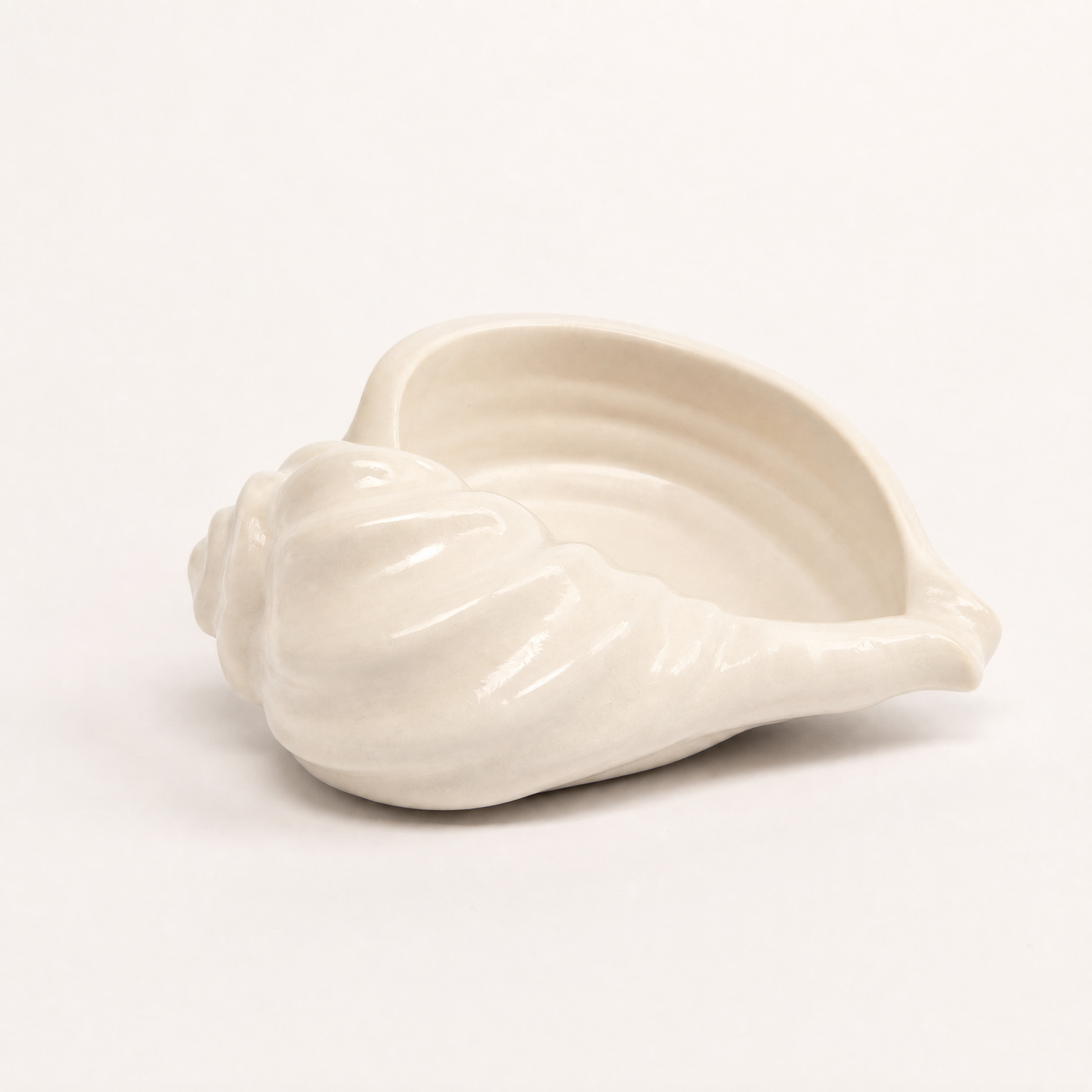Nautilus Shell Bowl — Gypsum White, 6.5" | Decorative Bowls | SUNSUM-X470 | hero front view | Sunsum®