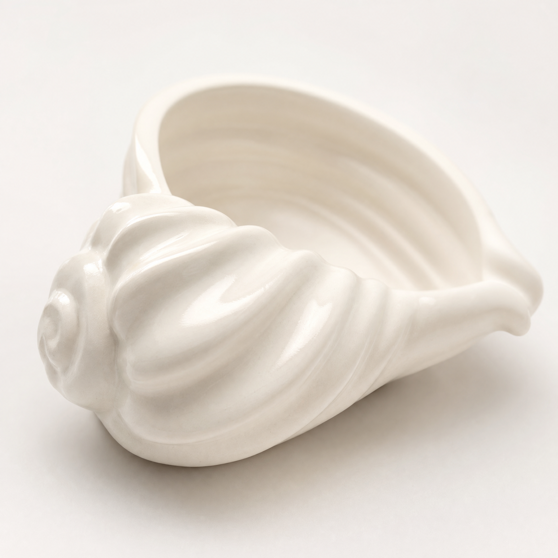 Nautilus Shell Bowl | Decorative Bowls | SUNSUM-X470 | macro rim and ridges detail | Sunsum®