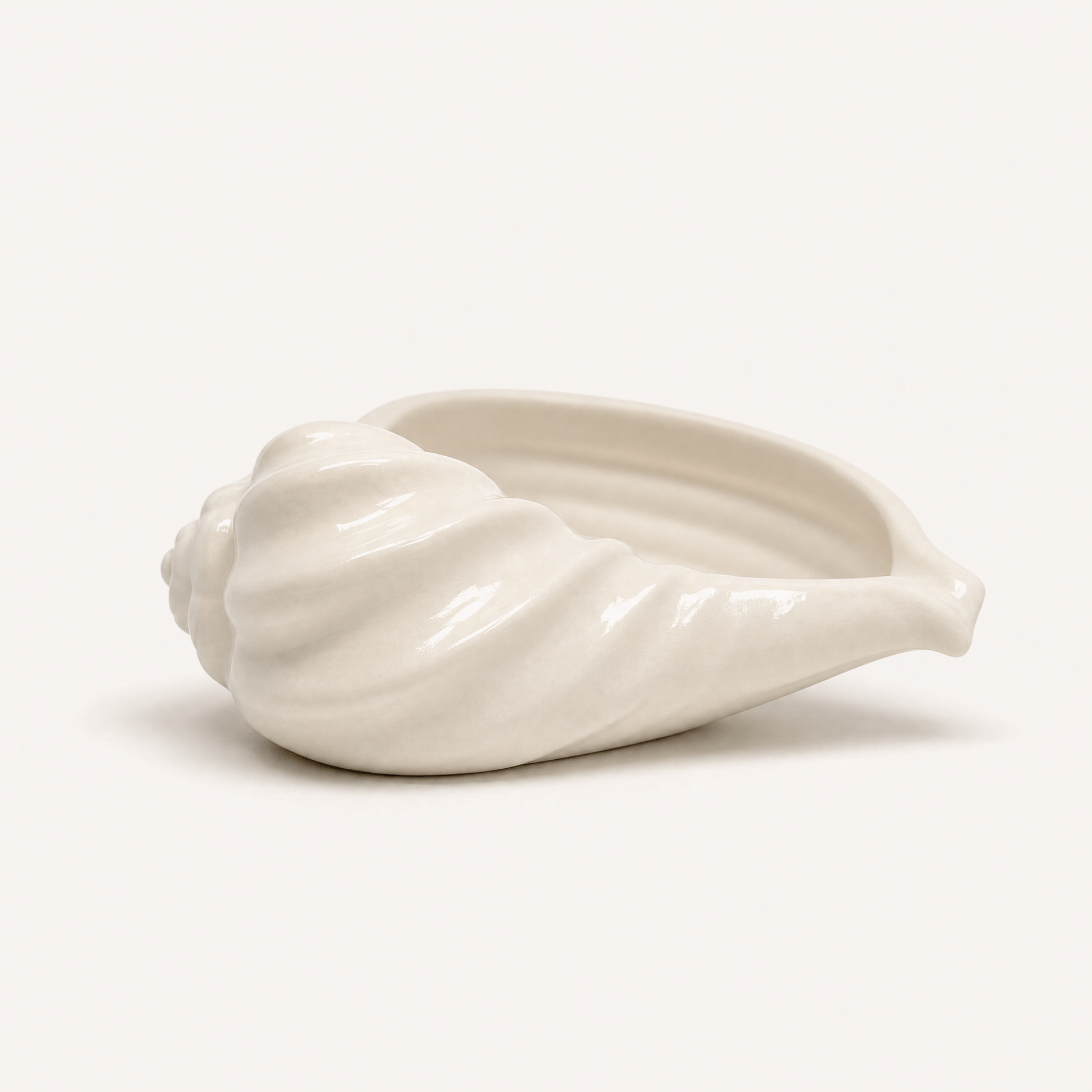 Nautilus Shell Bowl | Decorative Bowls | SUNSUM-X470 | side low angle view | Sunsum®