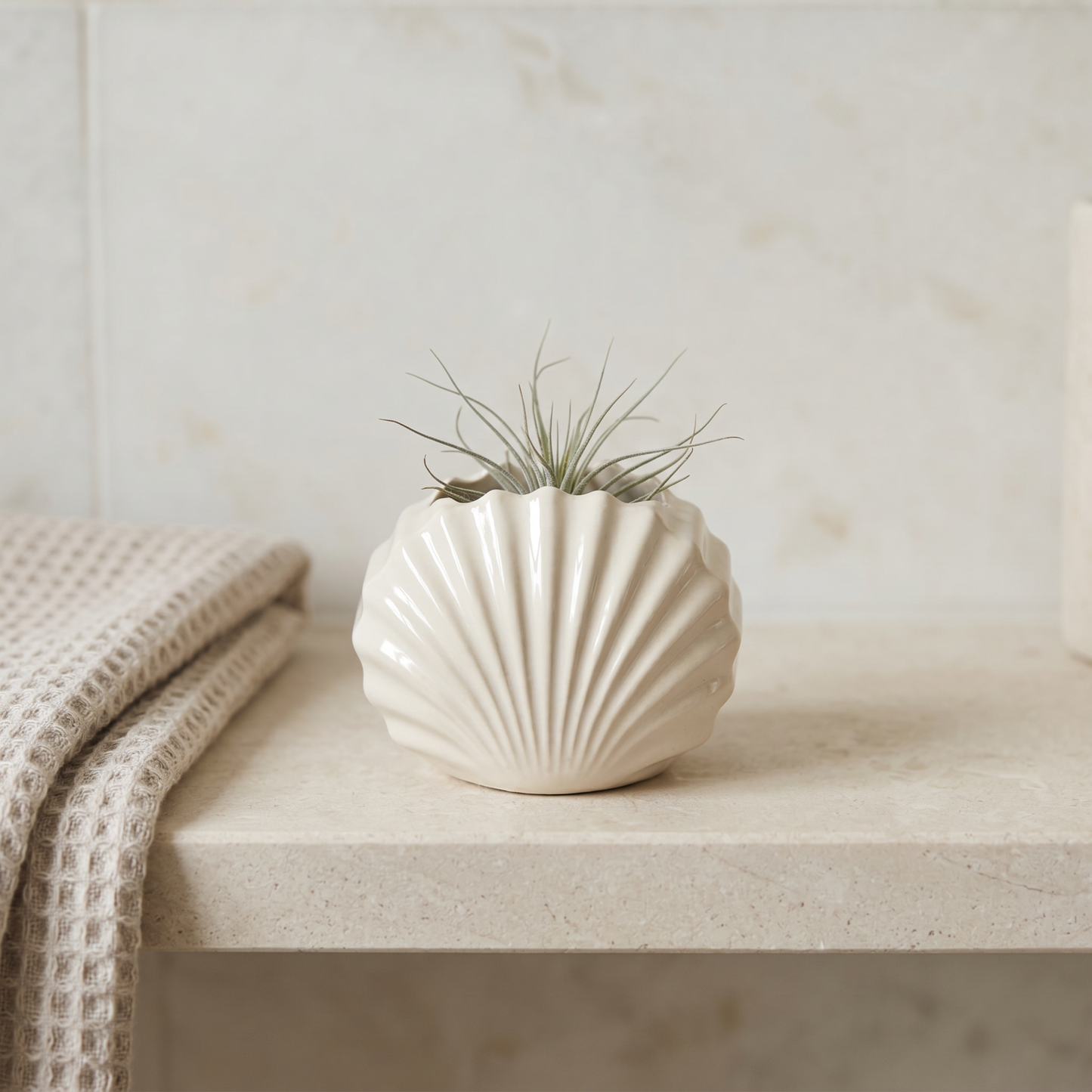 Mini Clam Shell Planter | Decorative Bowls | SUNSUM-X480 | bathroom shelf with tiny air plant | Sunsum®