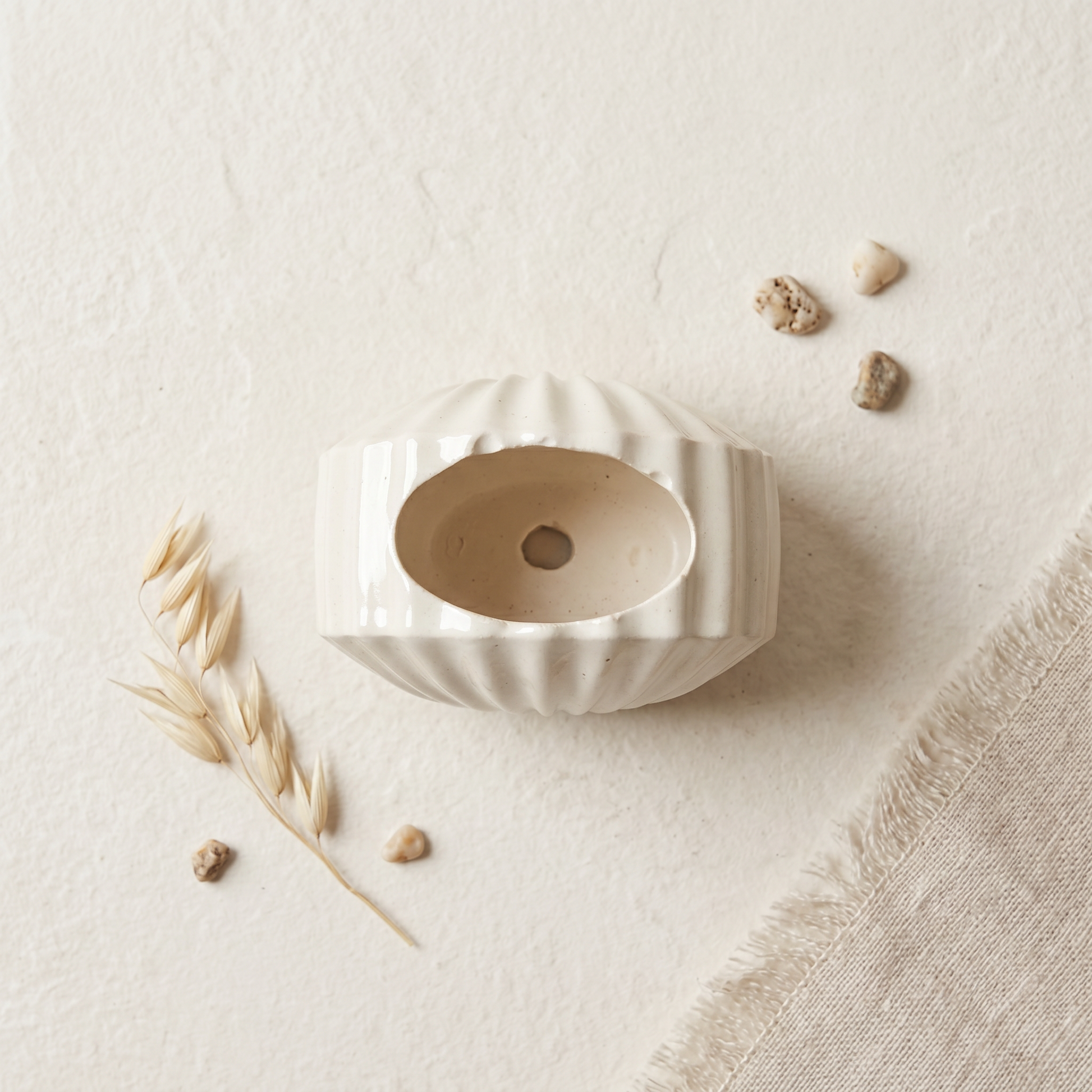 Mini Clam Shell Planter | Decorative Bowls | SUNSUM-X480 | premium overhead flat lay | Sunsum®