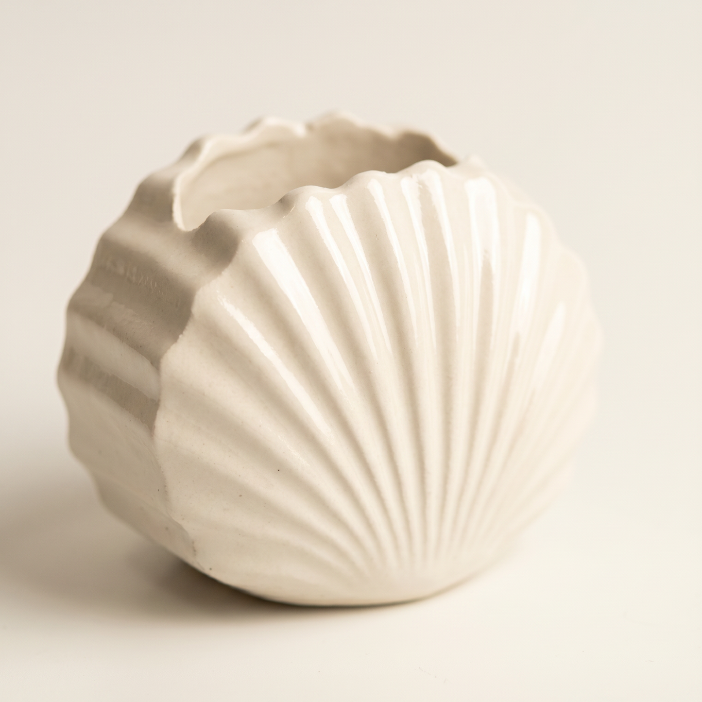 Mini Clam Shell Planter | Decorative Bowls | SUNSUM-X480 | macro gloss ribs detail | Sunsum®