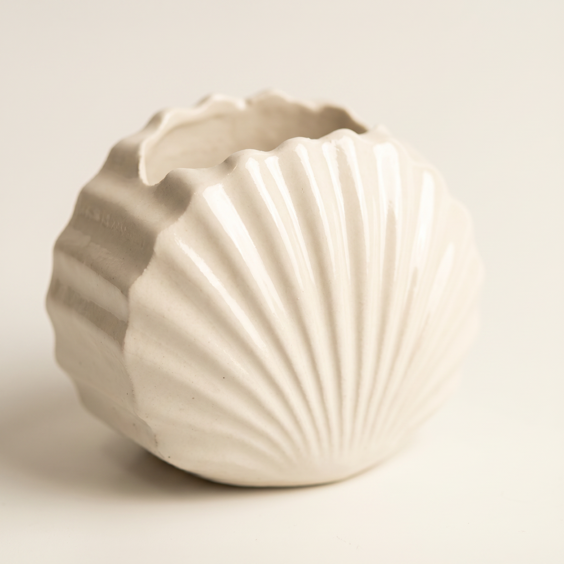 Mini Clam Shell Planter | Decorative Bowls | SUNSUM-X480 | macro gloss ribs detail | Sunsum®