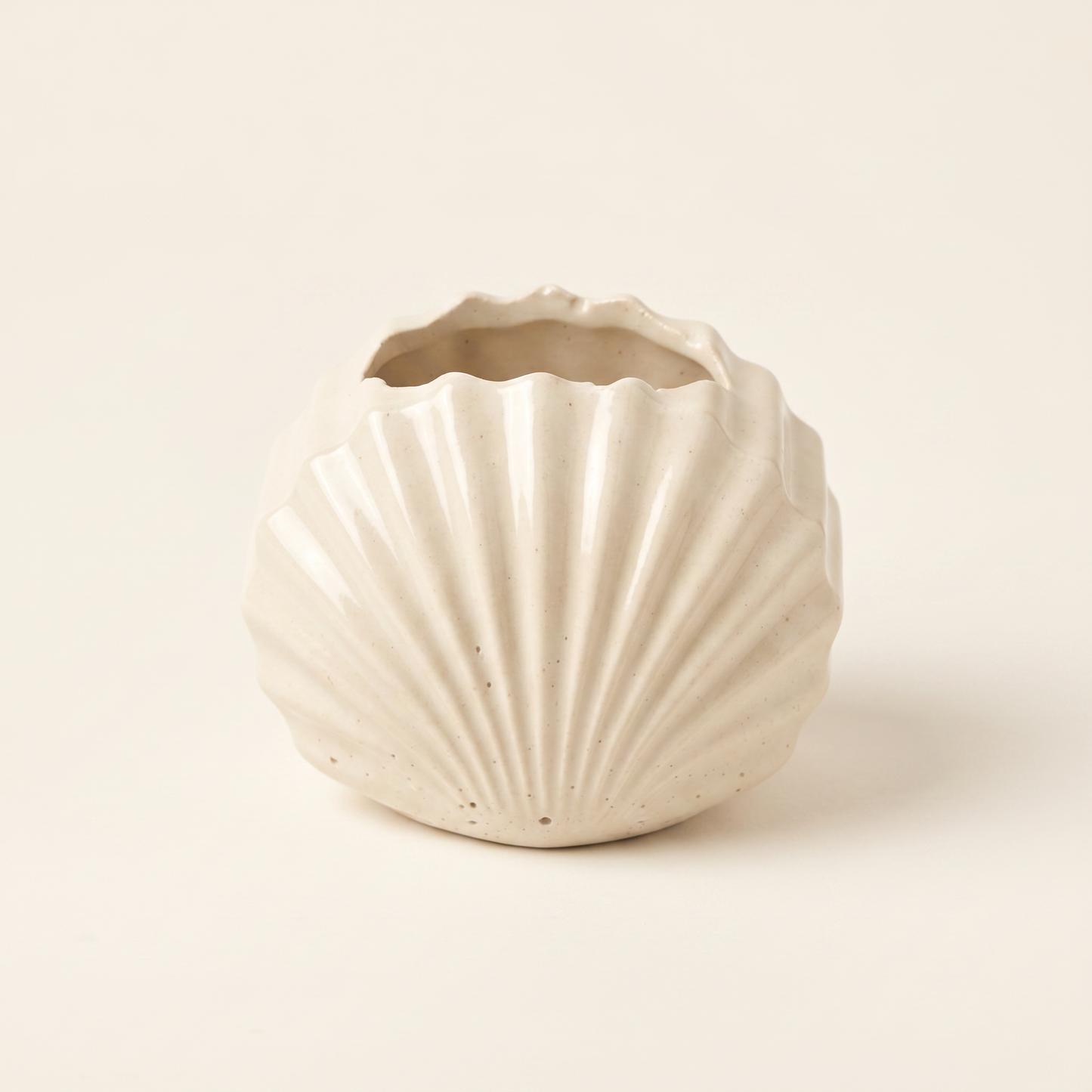 Mini Clam Shell Planter — Gypsum White, 3" | Decorative Bowls | SUNSUM-X480 | hero front view | Sunsum®