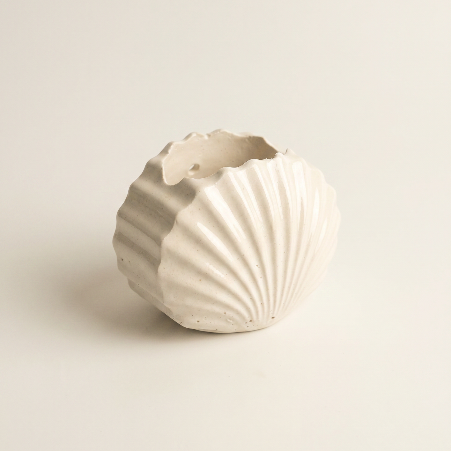 Mini Clam Shell Planter | Decorative Bowls | SUNSUM-X480 | side angle view | Sunsum®