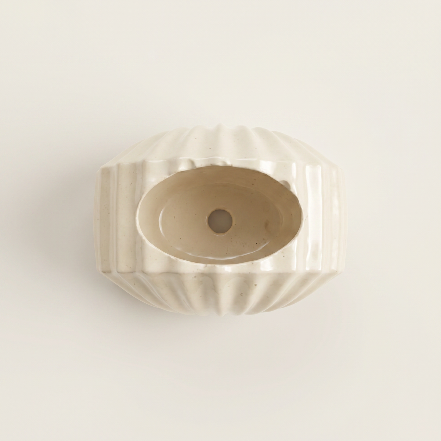Mini Clam Shell Planter | Decorative Bowls | SUNSUM-X480 | top down overhead view | Sunsum®