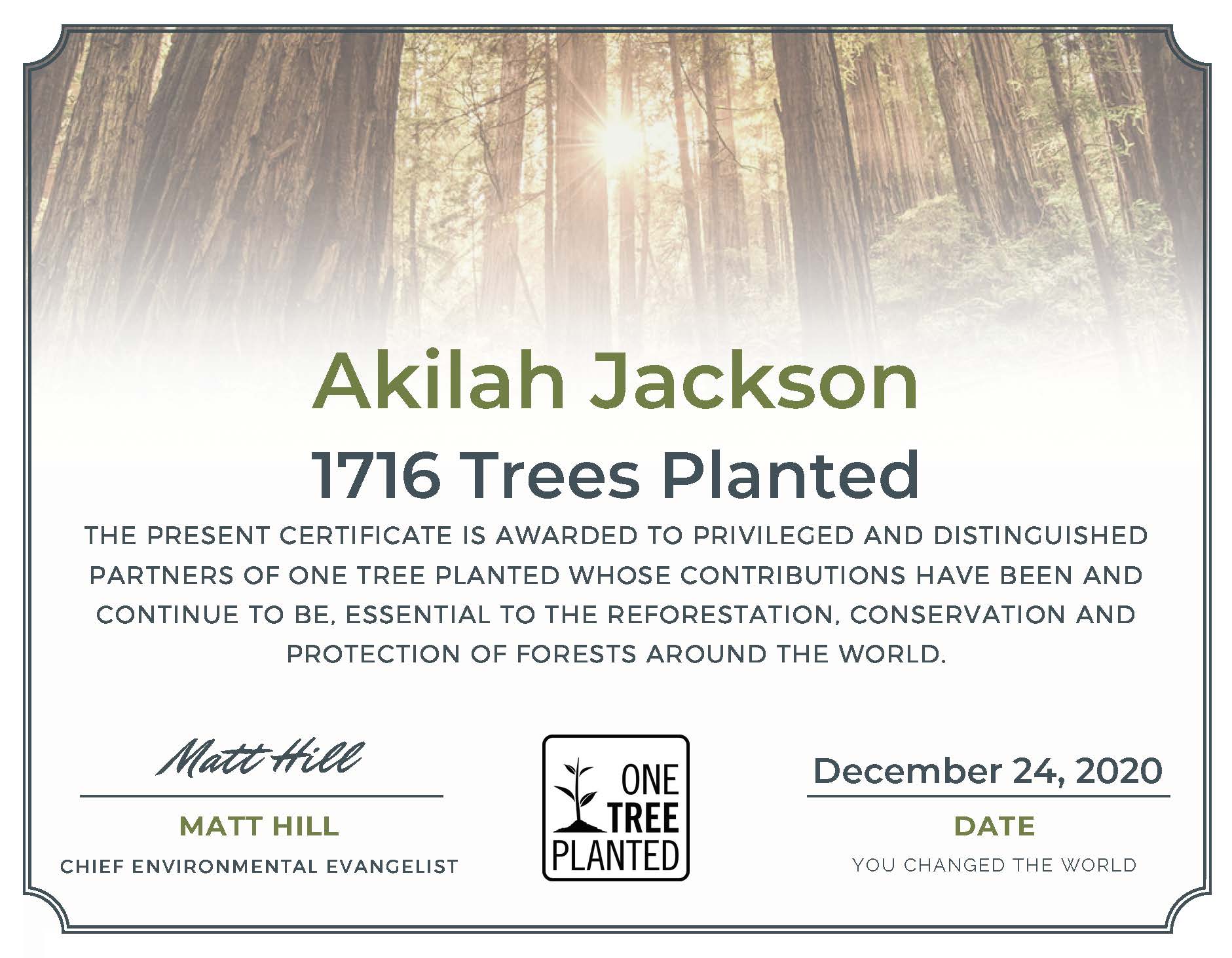 Just $1 plants 1 tree Campaign One Tree Planted