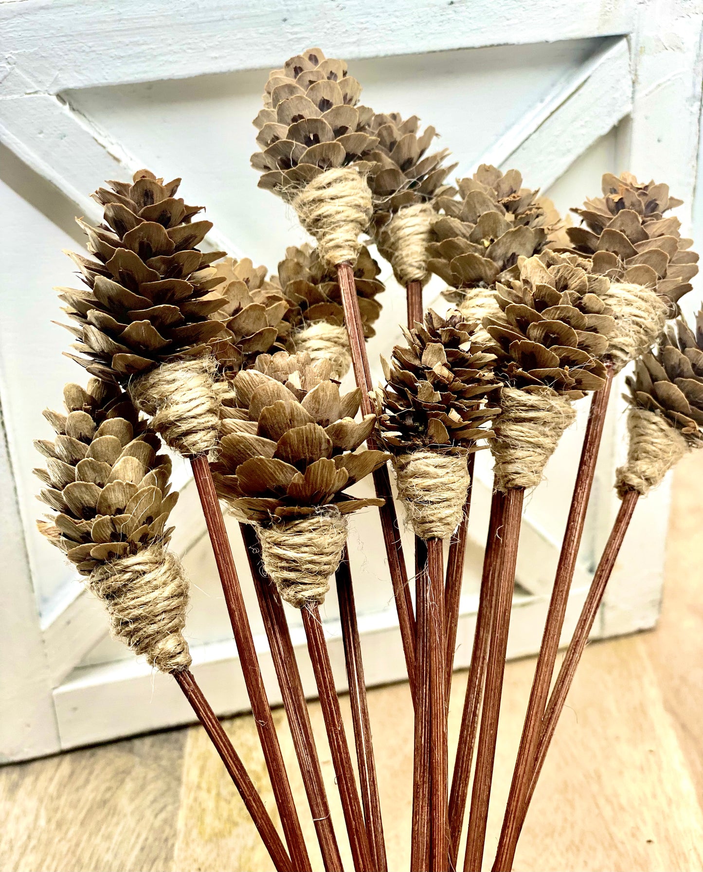 Mini Pine Cone, 9” Rattan Wood Reed Diffusers Replacement Sticks, 16 pk Sunsum®