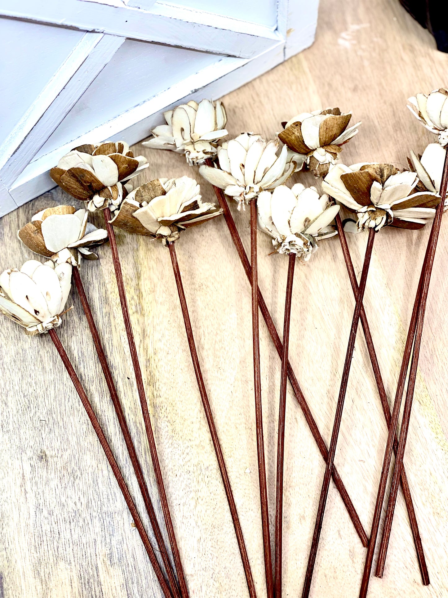 Assorted Mini Sola Wood Flower, 9” Rattan Wood Reed Diffuser Replacement Sticks, 12 pk Sunsum®