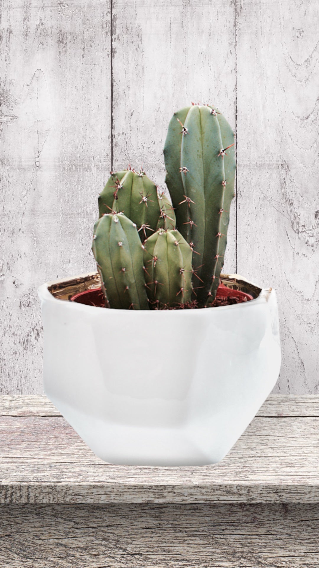 Handmade Elegant White & Gold Ceramic Planter/Pot
