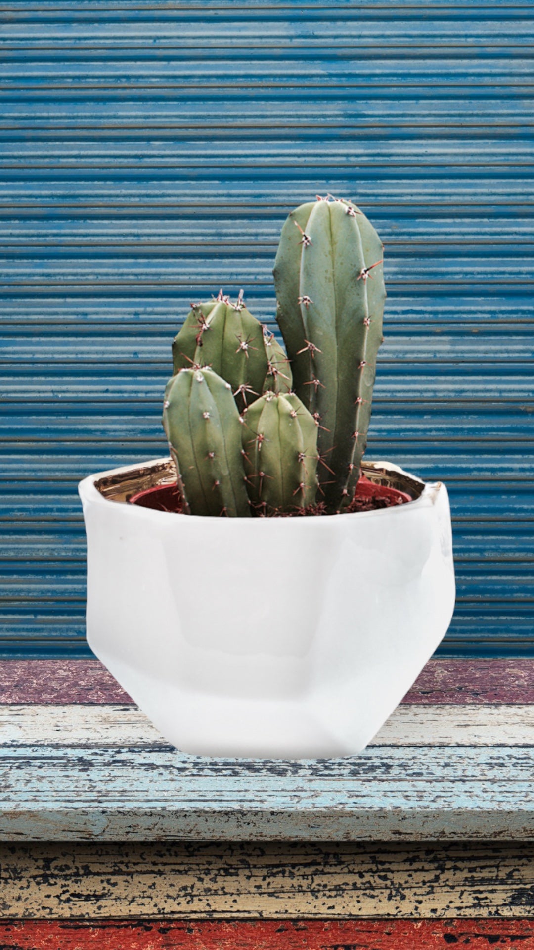 Handmade Elegant White & Gold Ceramic Planter/Pot