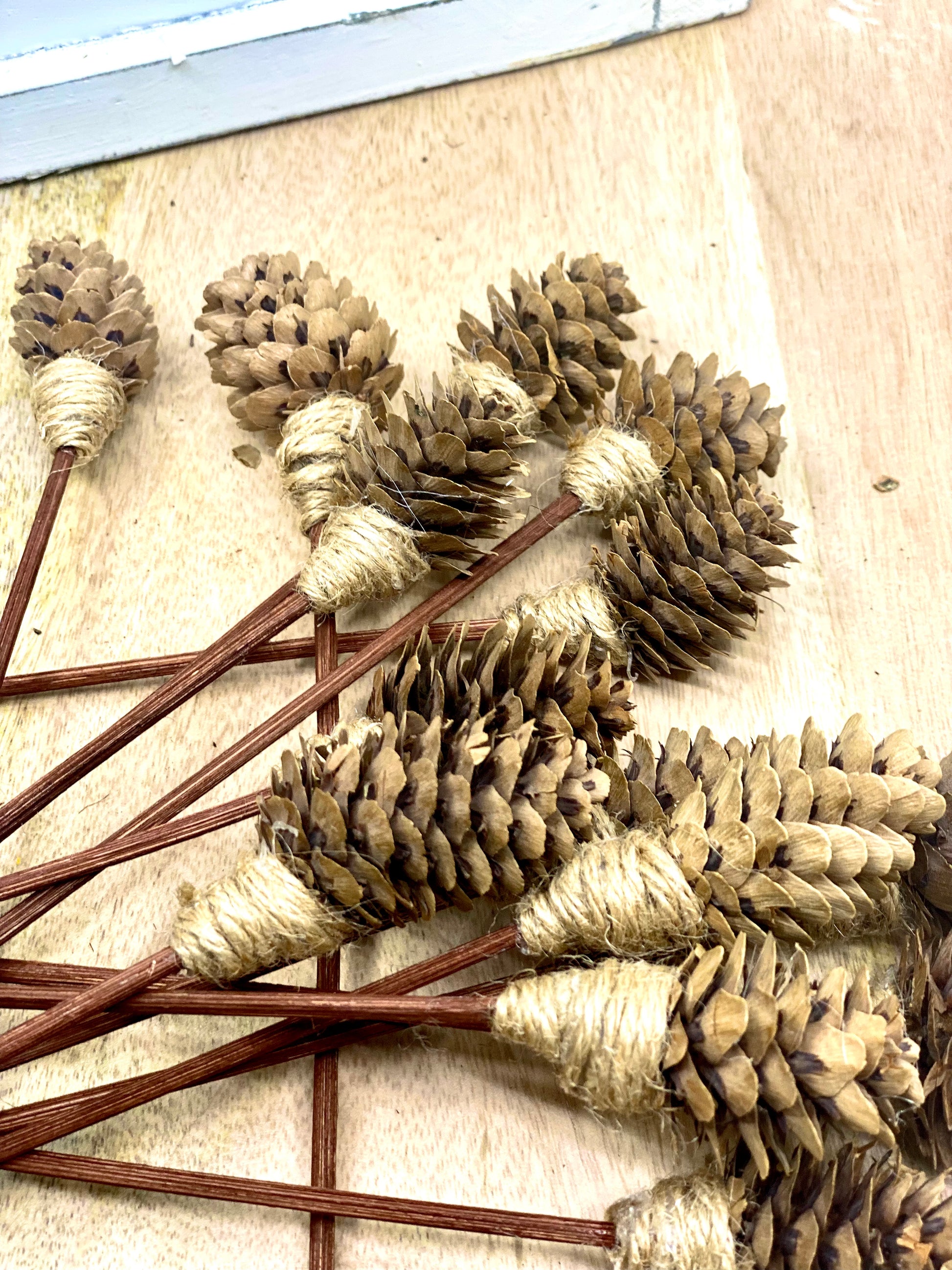 Mini Pine Cone, 9” Rattan Wood Reed Diffusers Replacement Sticks, 16 pk Sunsum®